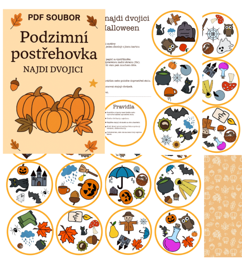 Podzimní postřehovka-najdi dvojici!